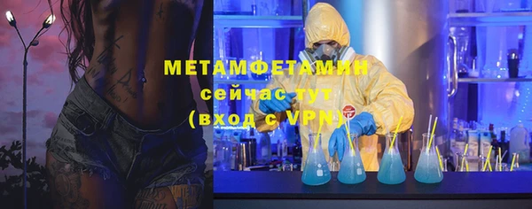 прущие грибы Медногорск