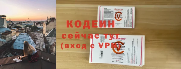 прущие грибы Медногорск