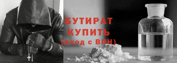 прущие грибы Медногорск